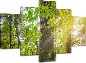 Képek 150x105 Gyalogtúra