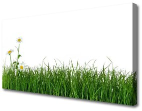 Vászonkép nyomtatás Grass Nature Plant 120x60 cm