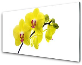 Akrilkép Virág növény természet 120x60 cm