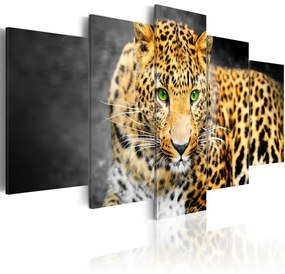 Kép - Green-eyed leopard