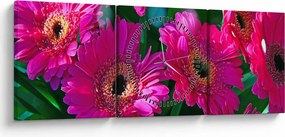 Kép - virágok (órával) (90x30 cm)