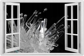 Poszterek 90x60 Makrofotó MacroFoto