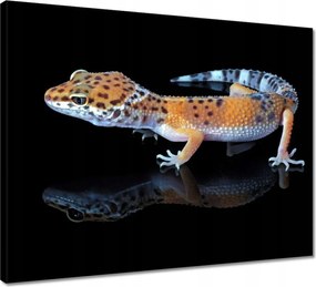 Vászonkép 50x40 Gekkó leopárd hüllők