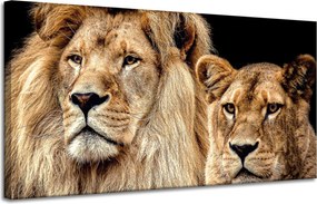 Vászonkép Oroszlán pár portré Vadság pár 120x60 cm