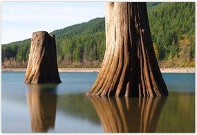 Poszterek 200x135 Fatörzsek a folyóban Hegyek