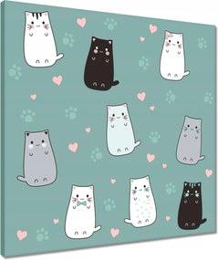 Vászonkép 50x50 Cica Cicák Macskák