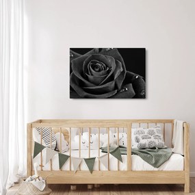 Kép - Bíborvörös rózsa (90x60 cm)