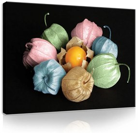 Vászonkép, Lampionvirág színesbe 80x60 cm méretben