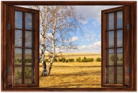 Poszterek 60x40 Nyírfa a mezőn Tájkép