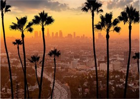 Kép - Los Angeles panorámája (70x50 cm)
