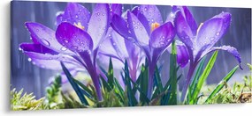 Virágok az esőben képe (120x50 cm)