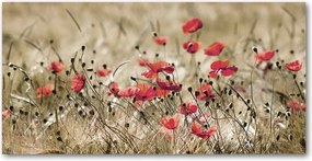 Pipacsok konyhai üvegpanel 120x60 cm Ragasztó