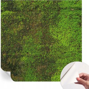 Dekoratív öntapadós fotótapéta Hálószobába Zöld szőnyeg 250x250 cm