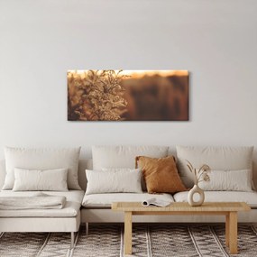 Virágzó fű képe (120x50 cm)