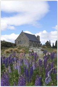 Poszterek 80x120 Lila virágok domb