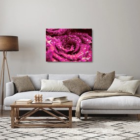 Rózsaszín rózsa virágzata képe (üvegen) (70x50 cm)