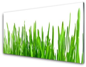 Üvegkép falra Grass Nature Plant 100x50 cm 2 fogas