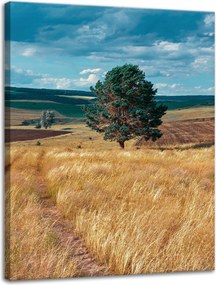Vászonkép Gabonamező Természet Felhők Tájkép 30x40 cm
