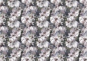 Flizelin fotótapéta fehér virágok elegáns fali minta 208x146 +ragasztó