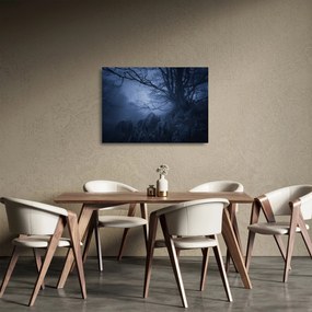 Egy sötét erdő képe (üvegen) (70x50 cm)