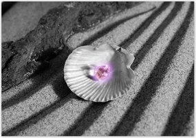 Poszterek 100x70 Kagyló és gyöngy Homok