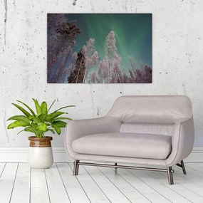 Az aurora borealis képe fagyos fák felett (90x60 cm)