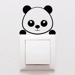 Panda Plug falmatrica - Ambiance