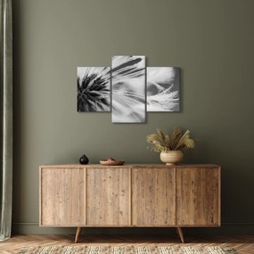 Kép - Makró, fekete-fehér (90x60 cm)