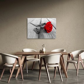 Egy vörös rózsa képe (üvegen) (70x50 cm)