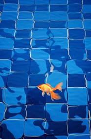 Poszter 53x81cm Arany Magány Halbőrben