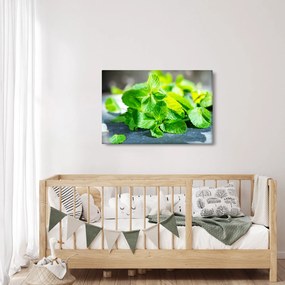 A menta képe (90x60 cm)