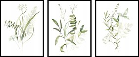 Triptichon poszter szett növény grafika botanika zöld 3db 21x30cm fotopp