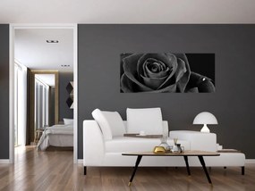 Kép - Bíborvörös rózsa (120x50 cm)