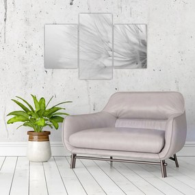 Kép - Pitypang (90x60 cm)