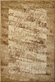 Szőnyeg nappaliba Fd Agnella Optimal 120x170cm