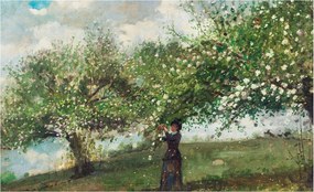 Fotótapéta Flizelina Nappali és Hálószoba Irodába Tavaszi jelenet 416x254 Ragasztó