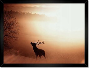 Poszterek keretben 40x30 Szarvas az erdő szélén