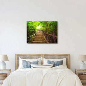 Üveg kép - Lépcsők a természetben (70x50 cm)