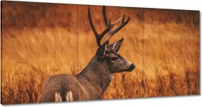 Vászonkép 120x60 Szarvas a természetben Vadászat