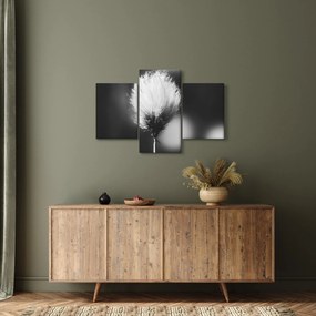 Kép - Fekete-fehér pamutfű (90x60 cm)