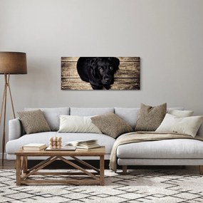 Egy fekete kiskutya képe (120x50 cm)