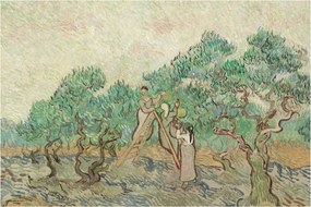 Kép - Vincent van Gogh, The Olive Orchard, reprodukciók (90x60 cm)