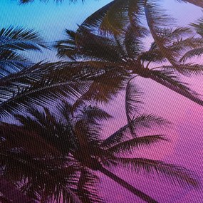 Kép - Pálmafák Miamiban (70x50 cm)
