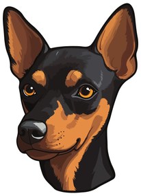 PIPPER. Matrica Miniatűr pinscher Méret: 60cm