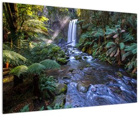 Ausztrál esőerdő képe (90x60 cm)