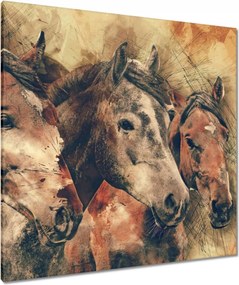 Vászonkép 90x90 Lófejek