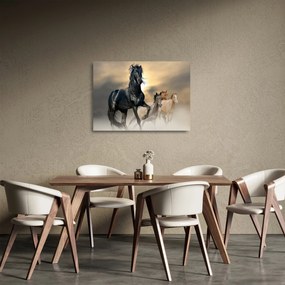 Üveg kép - Lovak (70x50 cm)