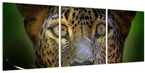 Kép - Leopárd portré, Sri Lanka (órával) (90x30 cm)