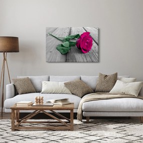 Kép - Rózsaszín rózsa zöld szárral (90x60 cm)