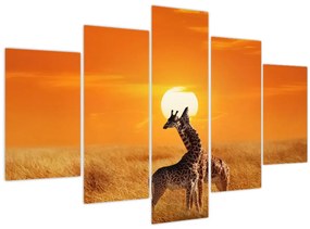 Kép - Zsiráfok a Serengeti Nemzeti Parkban (150x105 cm)